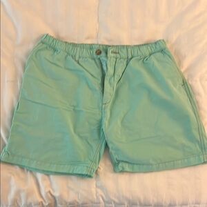 Chubbies, Mint Green, flat front casual shorts